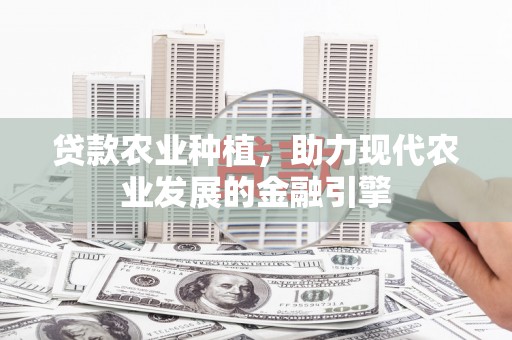 洮南贷款农业种植，助力现代农业发展的金融引擎