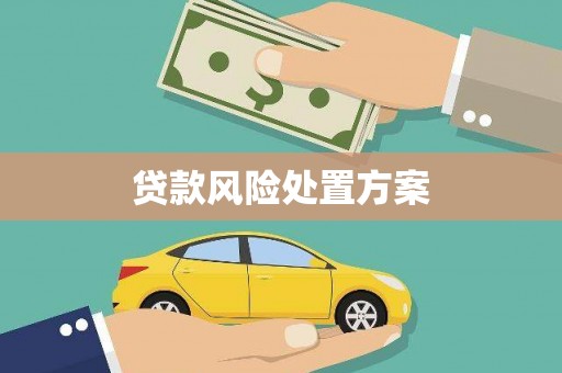 洮南贷款风险处置方案