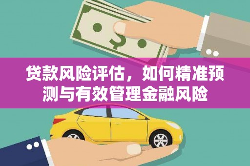 洮南贷款风险评估，如何精准预测与有效管理金融风险