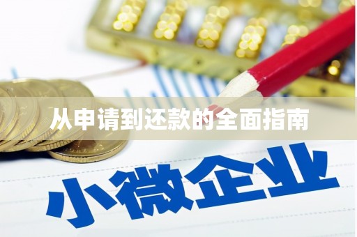 洮南从申请到还款的全面指南