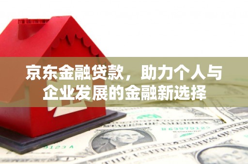 洮南京东金融贷款，助力个人与企业发展的金融新选择