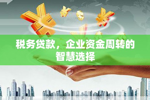 洮南税务贷款，企业资金周转的智慧选择