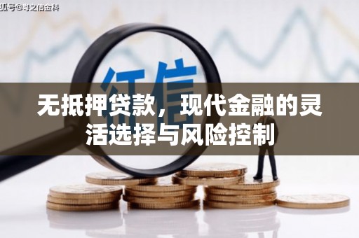 洮南无抵押贷款，现代金融的灵活选择与风险控制