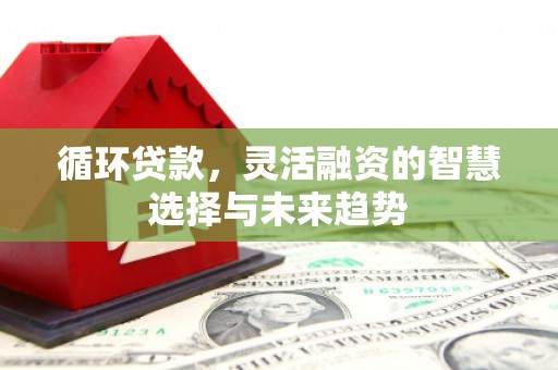 洮南循环贷款，灵活融资的智慧选择与未来趋势