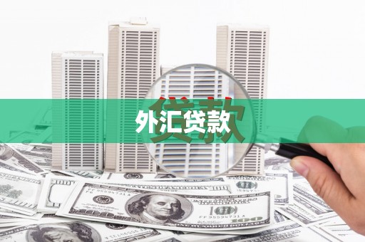 洮南外汇贷款