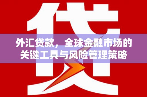 洮南外汇贷款，全球金融市场的关键工具与风险管理策略
