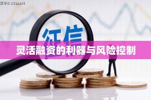 洮南灵活融资的利器与风险控制