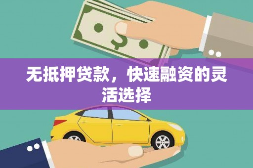 洮南无抵押贷款，快速融资的灵活选择