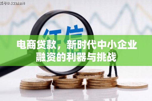 洮南电商贷款，新时代中小企业融资的利器与挑战