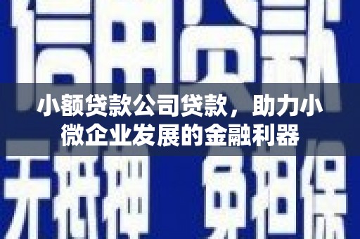 洮南小额贷款公司贷款，助力小微企业发展的金融利器
