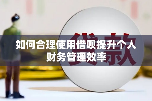 洮南如何合理使用借呗提升个人财务管理效率