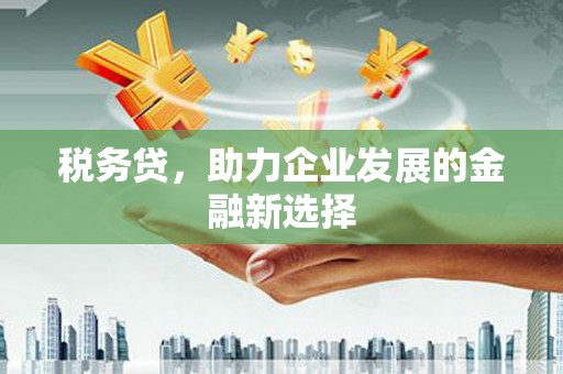 洮南税务贷，助力企业发展的金融新选择