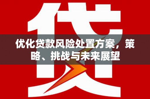 洮南优化贷款风险处置方案，策略、挑战与未来展望