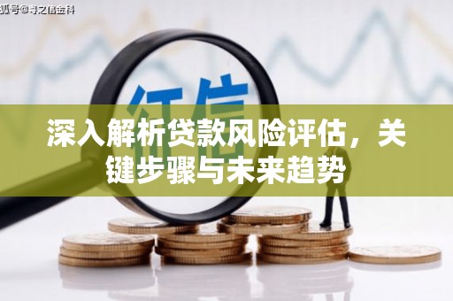洮南深入解析贷款风险评估，关键步骤与未来趋势