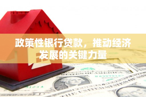 洮南政策性银行贷款，推动经济发展的关键力量