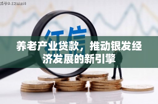 洮南养老产业贷款，推动银发经济发展的新引擎