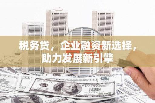 洮南税务贷，企业融资新选择，助力发展新引擎