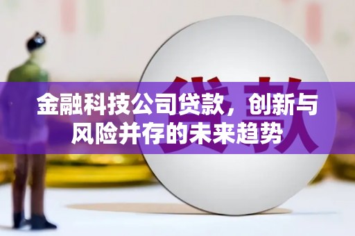 洮南金融科技公司贷款，创新与风险并存的未来趋势
