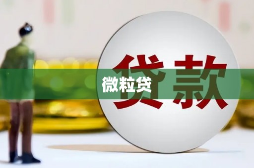 洮南微粒贷