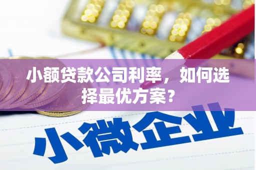 洮南小额贷款公司利率，如何选择最优方案？