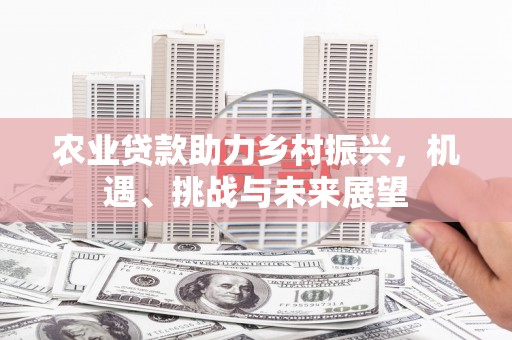 洮南农业贷款助力乡村振兴，机遇、挑战与未来展望