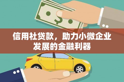 洮南信用社贷款，助力小微企业发展的金融利器