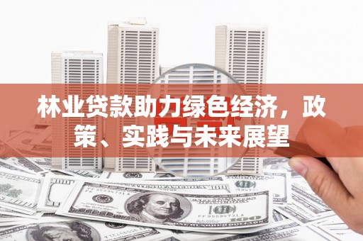 洮南林业贷款助力绿色经济，政策、实践与未来展望