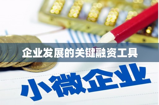 洮南企业发展的关键融资工具