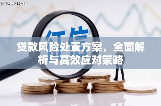 洮南贷款风险处置方案，全面解析与高效应对策略