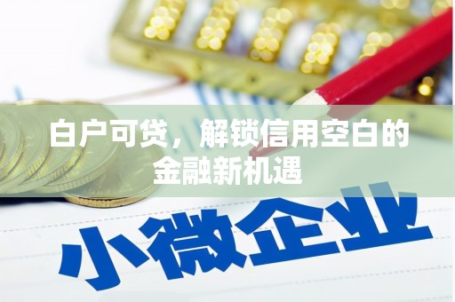 洮南白户可贷，解锁信用空白的金融新机遇