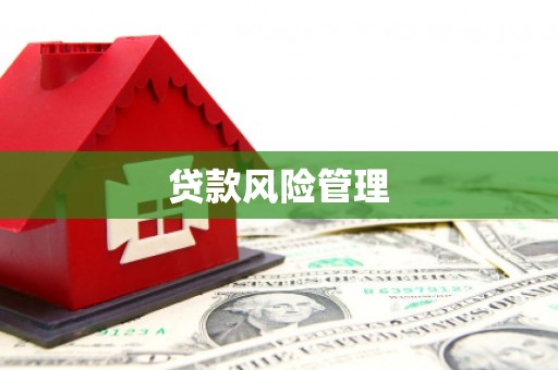 洮南贷款风险管理