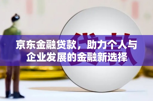 洮南京东金融贷款，助力个人与企业发展的金融新选择