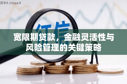 洮南宽限期贷款，金融灵活性与风险管理的关键策略
