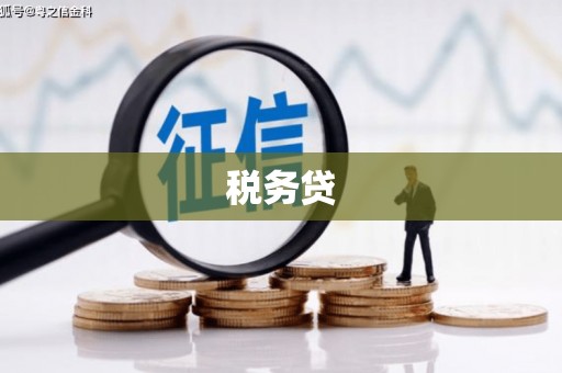 洮南税务贷