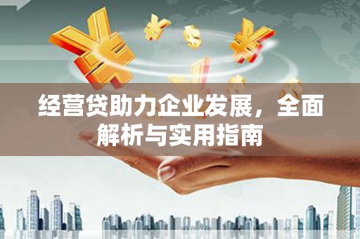 洮南经营贷助力企业发展，全面解析与实用指南