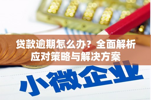 洮南贷款逾期怎么办？全面解析应对策略与解决方案