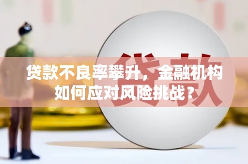 洮南贷款不良率攀升，金融机构如何应对风险挑战？