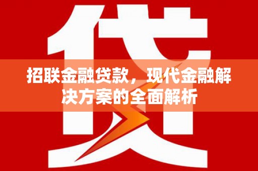 洮南招联金融贷款，现代金融解决方案的全面解析
