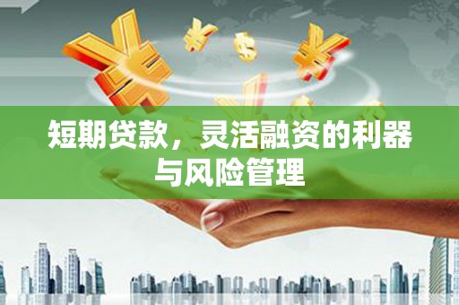 洮南短期贷款，灵活融资的利器与风险管理