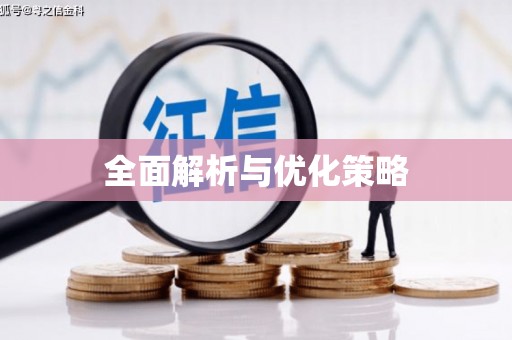 洮南全面解析与优化策略