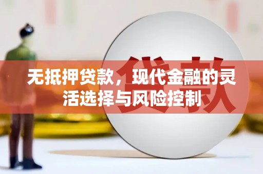 洮南无抵押贷款，现代金融的灵活选择与风险控制