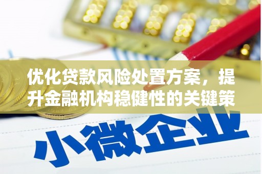 洮南优化贷款风险处置方案，提升金融机构稳健性的关键策略