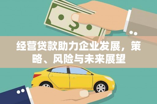洮南经营贷款助力企业发展，策略、风险与未来展望