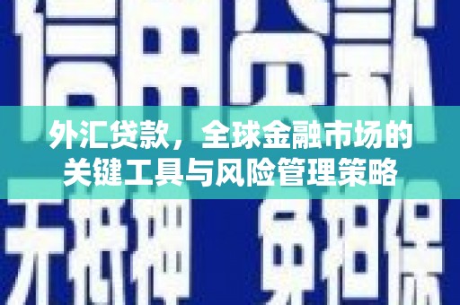 洮南外汇贷款，全球金融市场的关键工具与风险管理策略