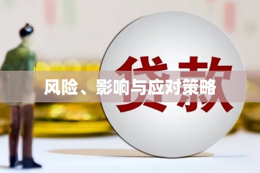洮南风险、影响与应对策略