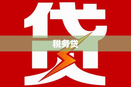 洮南税务贷