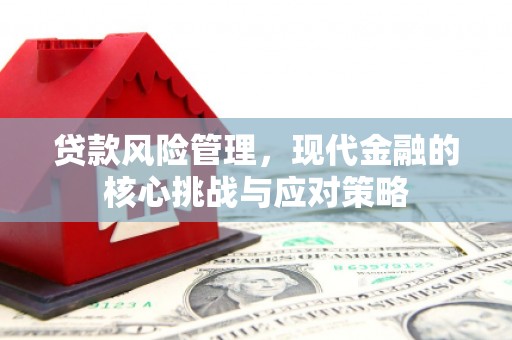 洮南贷款风险管理，现代金融的核心挑战与应对策略