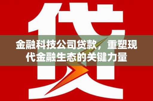 洮南金融科技公司贷款，重塑现代金融生态的关键力量