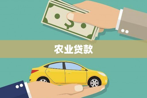 洮南农业贷款