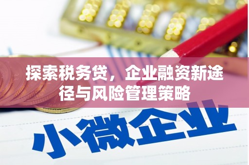 洮南探索税务贷，企业融资新途径与风险管理策略
